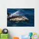 Common Dolphin Jumping Wall Mural