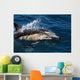 Common Dolphin Jumping Wall Mural