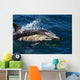 Common Dolphin Jumping Wall Mural