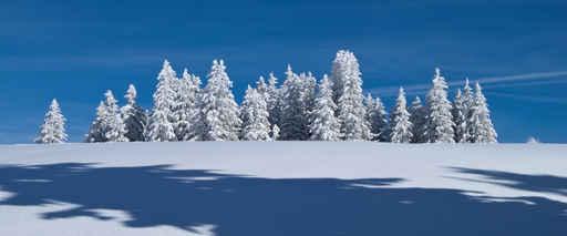 Winter Feldberg Wall Decal