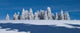 Winter Feldberg Wall Decal