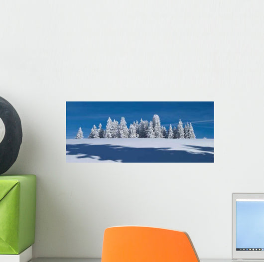 Winter Feldberg Wall Decal