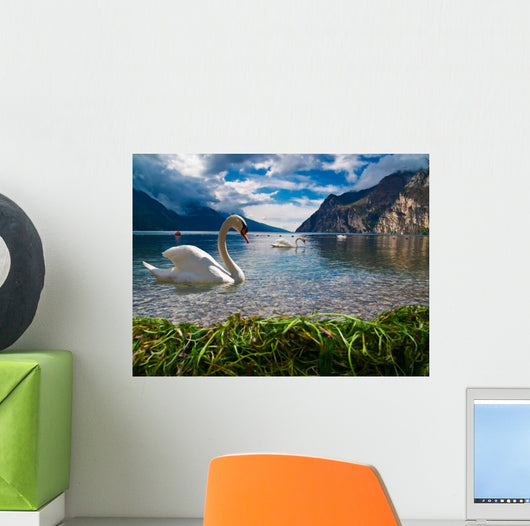 Heaven on Earth Wall Mural