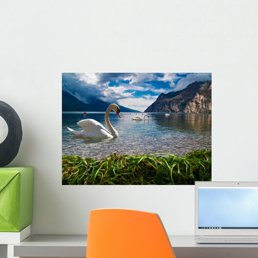 Heaven on Earth Wall Mural
