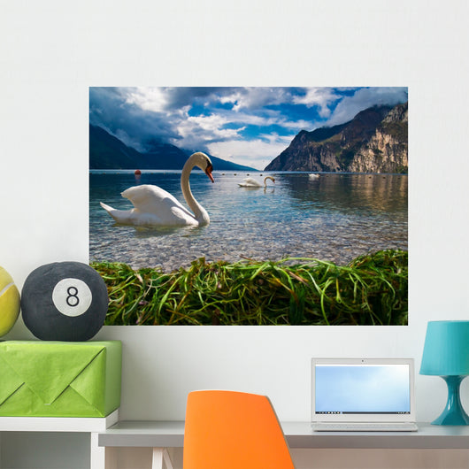 Heaven on Earth Wall Mural