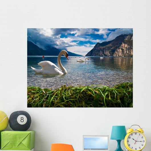 Heaven on Earth Wall Mural