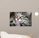 Cat Lick Wall Mural