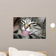Cat Lick Wall Mural