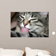 Cat Lick Wall Mural