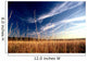 Herbes Hautes Wall Mural