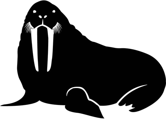 Walrus Resting Water Animals Wall Decal