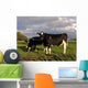 Dutch Cows Wall Decal