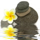 Composition With Pebbles and Frangipani Wall Decal