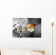 Anthocharis Cardamin Orange Tip Wall Mural