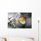 Anthocharis Cardamin Orange Tip Wall Mural