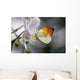 Anthocharis Cardamin Orange Tip Wall Mural