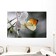 Anthocharis Cardamin Orange Tip Wall Mural