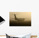 Airplane in Fog Wall Mural
