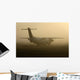 Airplane in Fog Wall Mural