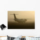 Airplane in Fog Wall Mural