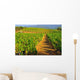 Landscape Vines Provence Wall Decal