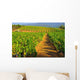 Landscape Vines Provence Wall Decal