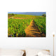 Landscape Vines Provence Wall Decal