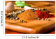 Spices in beautiful sunlight Wall Mural