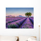 Lavandes 5 Wall Decal