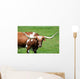 A longhorn bull Wall Mural
