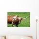 A longhorn bull Wall Mural