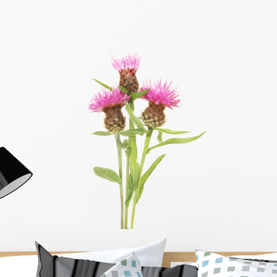 Thistle Flowers Wall Decal shown on a wall