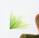 Ribbed green leaves Wall Decal