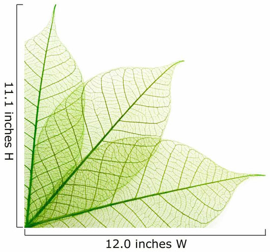 Ribbed green leaves Wall Decal