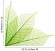 Ribbed green leaves Wall Decal