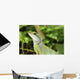 Reptile Wall Mural