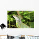 Reptile Wall Mural