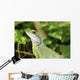 Reptile Wall Mural
