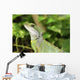 Reptile Wall Mural