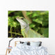 Reptile Wall Mural