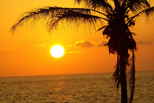 Sonnenuntergang Hawaii Wall Mural