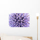 Thistle Flower Wall Mural
