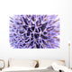 Thistle Flower Wall Mural