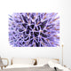 Thistle Flower Wall Mural