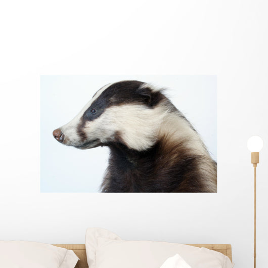Badger Wall Decal