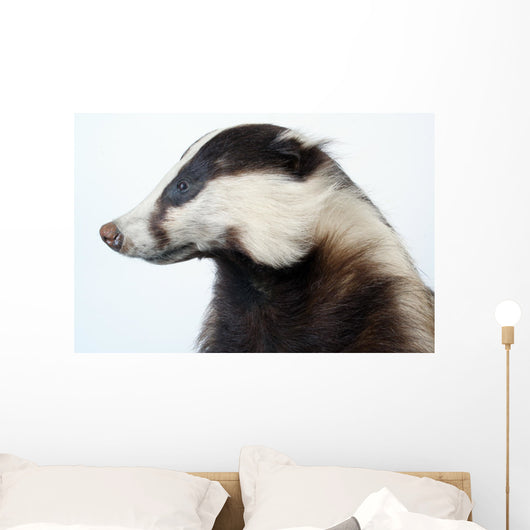 Badger Wall Decal