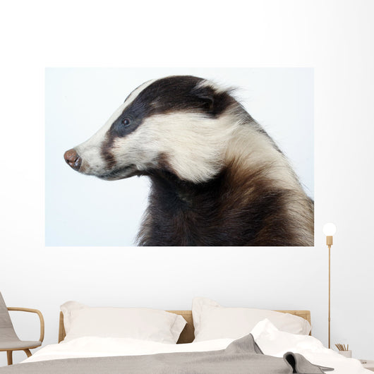 Badger Wall Decal
