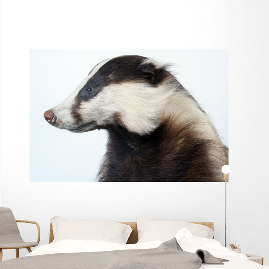 Badger Wall Decal