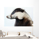 Badger Wall Decal
