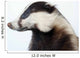 Badger Wall Decal